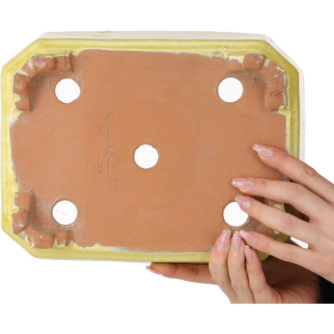 Maceta rectangular amarilla para bonsái de Shuhou - 285 x 217 x 85 mm