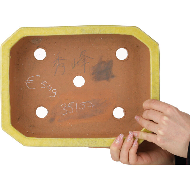 Maceta rectangular amarilla para bonsái de Shuhou - 285 x 217 x 85 mm
