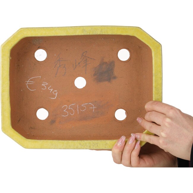 Pot à bonsaï rectangulaire jaune de Shuhou - 285 x 217 x 85 mm