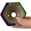 Maceta hexagonal para bonsái azul y verde de Terahata Satomi Mazan - 71 x 71 x 62 mm