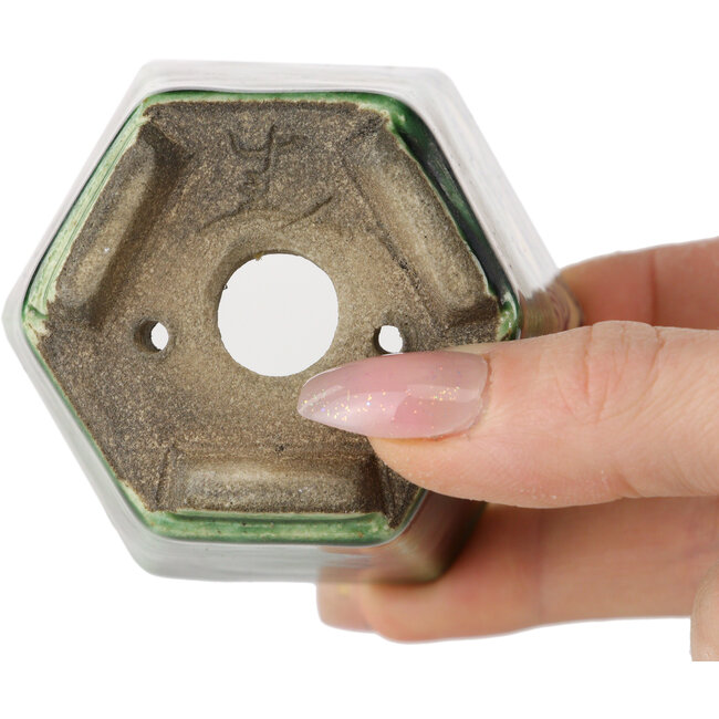 Maceta hexagonal para bonsái verde de Terahata Satomi Mazan - 71 x 71 x 62 mm