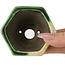 Hexagonal green bonsai pot by Terahata Satomi Mazan - 71 x 71 x 62 mm