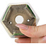 Pot à bonsaï hexagonal vert et multicolore par Terahata Satomi Mazan - 71 x 71 x 62 mm