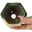 Pot à bonsaï vert hexagonal par Terahata Satomi Mazan - 71 x 71 x 62 mm