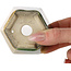 Maceta hexagonal para bonsái verde y amarilla de Terahata Satomi Mazan - 71 x 71 x 62 mm
