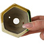 Hexagonal green and yellow bonsai pot by Terahata Satomi Mazan - 71 x 71 x 62 mm