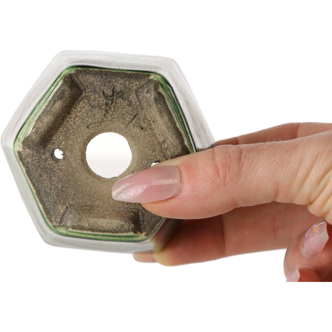 Hexagonal green bonsai pot by Terahata Satomi Mazan - 71 x 71 x 62 mm