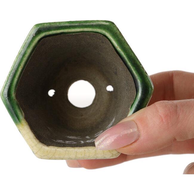 Maceta hexagonal para bonsái verde de Terahata Satomi Mazan - 71 x 71 x 62 mm