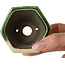 Pot à bonsaï vert hexagonal par Terahata Satomi Mazan - 71 x 71 x 62 mm