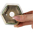 Maceta hexagonal para bonsái verde y multicolor de Terahata Satomi Mazan - 71 x 71 x 62 mm