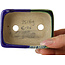 Maceta rectangular para bonsái azul y verde de Terahata Satomi Mazan - 85 x 62 x 38 mm