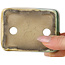 Maceta rectangular para bonsái verde y amarilla de Terahata Satomi Mazan - 85 x 62 x 38 mm
