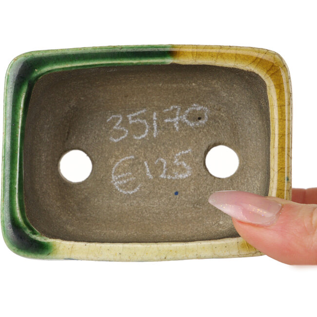 Maceta rectangular para bonsái verde y amarilla de Terahata Satomi Mazan - 85 x 62 x 38 mm