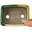 Rechteckiger grüner und gelber Bonsaitopf von Terahata Satomi Mazan – 85 x 62 x 38 mm