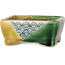 Maceta rectangular para bonsái verde y amarilla de Terahata Satomi Mazan - 85 x 62 x 38 mm