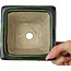Pot à bonsaï carré vert multicolore par Terahata Satomi Mazan - 133 x 133 x 80 mm