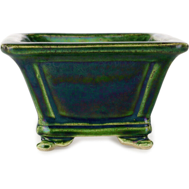 Pot à bonsaï carré vert avec accent bleu par Terahata Satomi Mazan - 133 x 133 x 80 mm