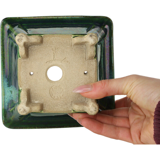 Vaso bonsai quadrato verde con accenti blu di Terahata Satomi Mazan - 133 x 133 x 80 mm