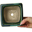 Maceta cuadrada para bonsái verde con detalles en azul de Terahata Satomi Mazan - 133 x 133 x 80 mm
