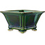Square green with a blue accent bonsai pot by Terahata Satomi Mazan - 133 x 133 x 80 mm