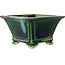 Vaso bonsai quadrato verde con accenti blu di Terahata Satomi Mazan - 133 x 133 x 80 mm