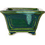 Maceta cuadrada para bonsái verde con detalles en azul de Terahata Satomi Mazan - 126 x 126 x 72 mm