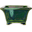 Square green with a blue accent bonsai pot by Terahata Satomi Mazan - 126 x 126 x 72 mm