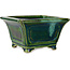 Square green with a blue accent bonsai pot by Terahata Satomi Mazan - 126 x 126 x 72 mm