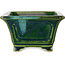 Maceta cuadrada para bonsái verde con detalles en azul de Terahata Satomi Mazan - 126 x 126 x 72 mm