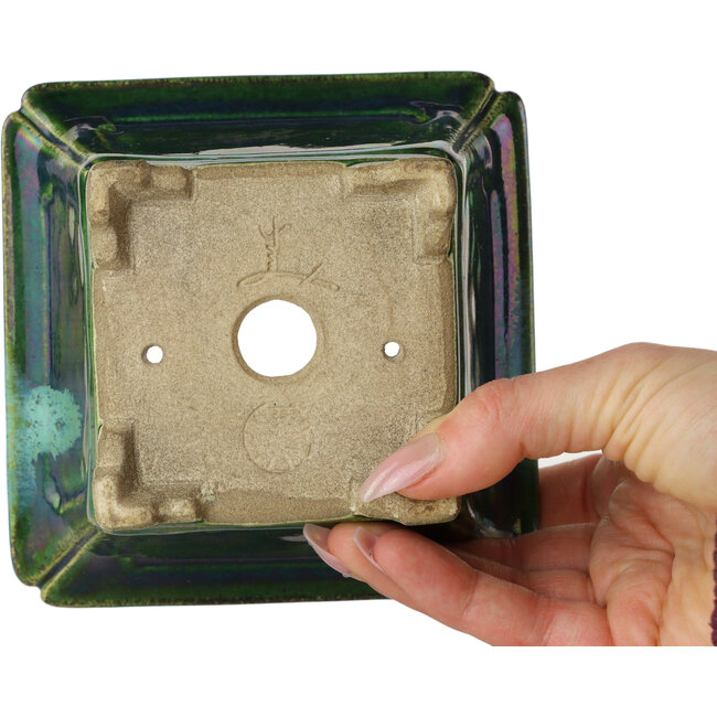 Pot à bonsaï carré vert avec accent bleu par Terahata Satomi Mazan - 126 x 126 x 72 mm