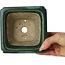 Vaso bonsai quadrato verde con accenti blu di Terahata Satomi Mazan - 126 x 126 x 72 mm