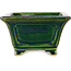 Square green with a blue accent bonsai pot by Terahata Satomi Mazan - 126 x 126 x 72 mm