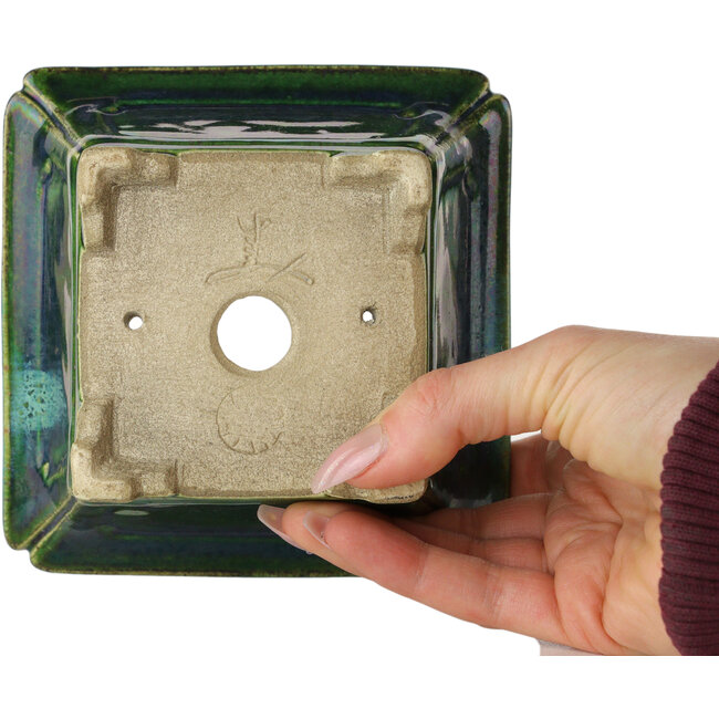 Pot à bonsaï carré vert avec accent bleu par Terahata Satomi Mazan - 126 x 126 x 72 mm