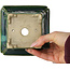 Square green with a blue accent bonsai pot by Terahata Satomi Mazan - 126 x 126 x 72 mm