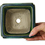 Vierkant groen met blauw accent bonsaipot van Terahata Satomi Mazan - 126 x 126 x 72 mm
