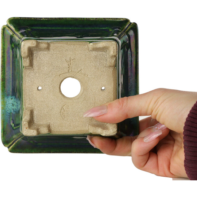 Pot à bonsaï carré vert avec accent bleu par Terahata Satomi Mazan - 126 x 126 x 72 mm