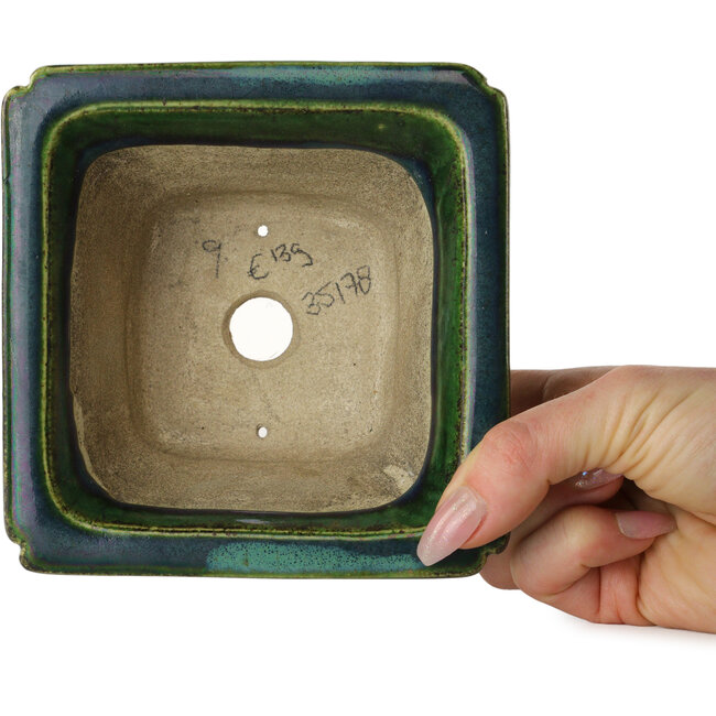 Square green with a blue accent bonsai pot by Terahata Satomi Mazan - 126 x 126 x 72 mm