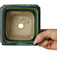 Square green with a blue accent bonsai pot by Terahata Satomi Mazan - 126 x 126 x 72 mm