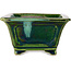 Square green with a blue accent bonsai pot by Terahata Satomi Mazan - 126 x 126 x 72 mm