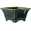Square green with a blue accent bonsai pot by Terahata Satomi Mazan - 126 x 126 x 72 mm