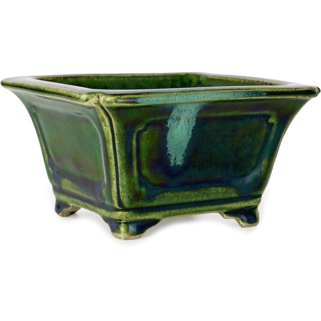 Square green with a blue accent bonsai pot by Terahata Satomi Mazan - 126 x 126 x 72 mm