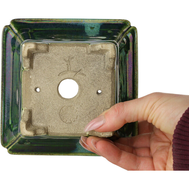 Vaso bonsai quadrato verde con accenti blu di Terahata Satomi Mazan - 126 x 126 x 72 mm