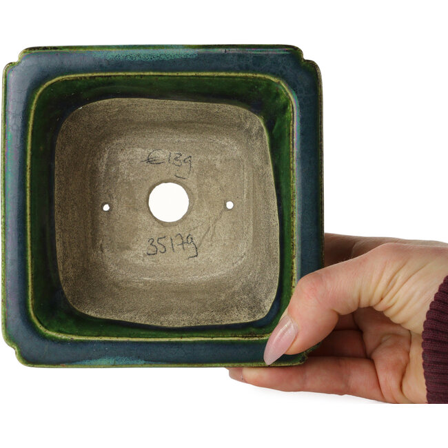 Vaso bonsai quadrato verde con accenti blu di Terahata Satomi Mazan - 126 x 126 x 72 mm