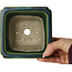 Maceta cuadrada para bonsái verde con detalles en azul de Terahata Satomi Mazan - 126 x 126 x 72 mm