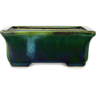 Satomi Mazan, Mazan Terahata Pot à bonsaï rectangulaire vert de 165 mm avec un accent bleu par Terahata Satomi Mazan, Tokoname, Japon