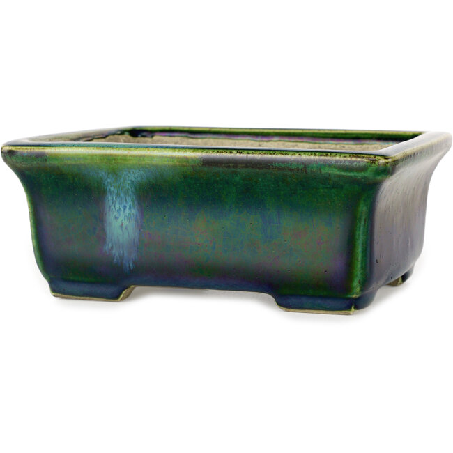 Vaso bonsai rettangolare verde con accenti blu di Terahata Satomi Mazan - 165 x 135 x 65 mm