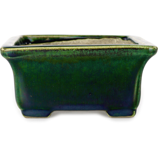 Vaso bonsai rettangolare verde con accenti blu di Terahata Satomi Mazan - 165 x 135 x 65 mm