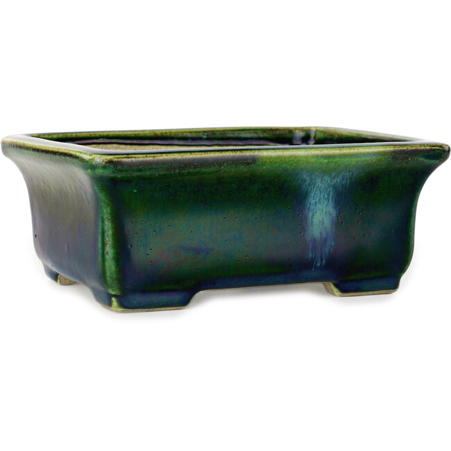 Pot à bonsaï rectangulaire vert avec accent bleu par Terahata Satomi Mazan - 165 x 135 x 65 mm