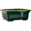 Rectangular green with a blue accent bonsai pot by Terahata Satomi Mazan - 165 x 135 x 65 mm