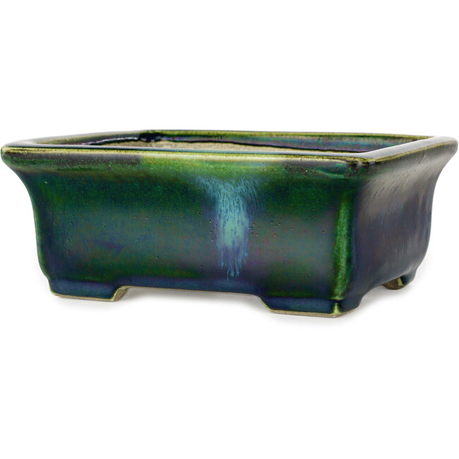 Pot à bonsaï rectangulaire vert avec accent bleu par Terahata Satomi Mazan - 165 x 135 x 65 mm